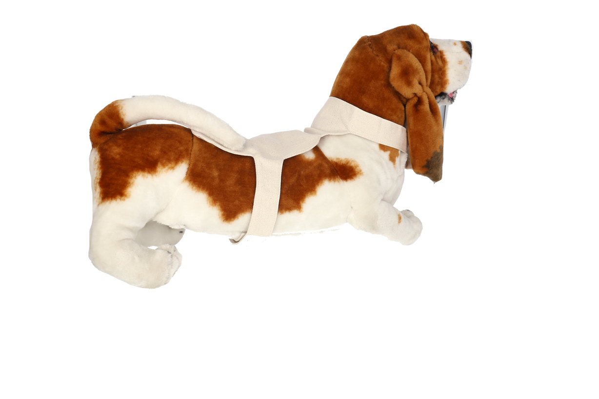 Fabric Detector for Large Dogs