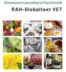 RAH 致敏源動物測試模式